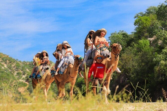 Guided Canyon Camel Ride in Wild Canyon Adventure Park - An Overview of the Tour Experience