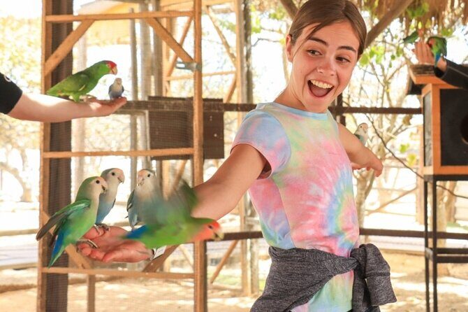 Guided Canyon Camel Ride in Wild Canyon Adventure Park - Who Should Consider This Tour?