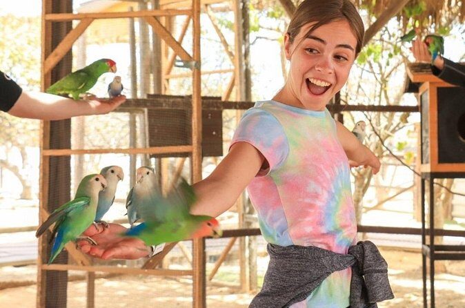 Guided Canyon Camel Ride in Wild Canyon Adventure Park - FAQ