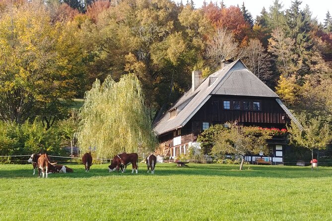 Guided Cider Tasting - Meeting and Duration Details