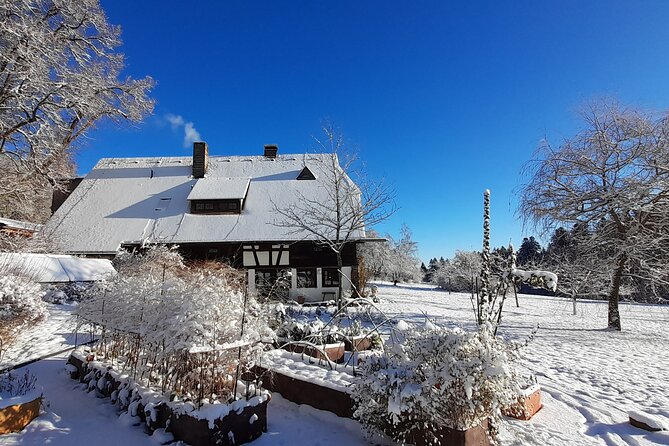 Guided Cider Tasting - Highlights From the Experience