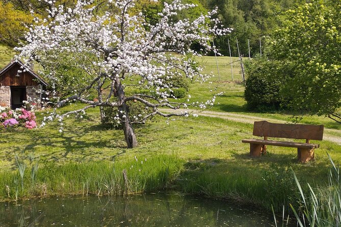 Guided Cider Tasting - Cider Production and Varieties