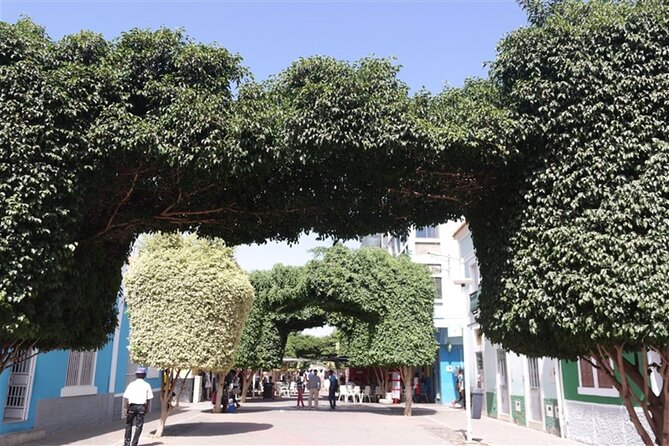 Guided City Tour Praia, Highlights Tour - Traveler Reviews and Ratings