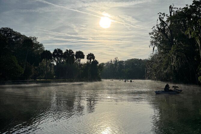 Guided Clear Kayak Tours on the Silver River - What Travelers Are Saying (Based on Actual Feedback)