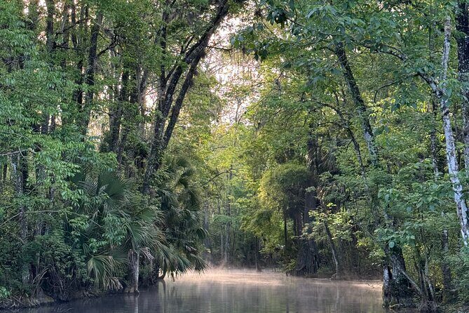 Guided Clear Kayak Tours on the Silver River - Final Thoughts: Is It Worth It?