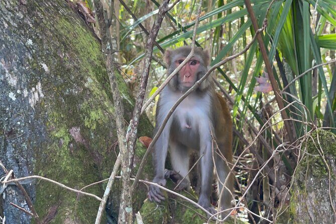 Guided Clear Kayak Tours on the Silver River - Frequently Asked Questions
