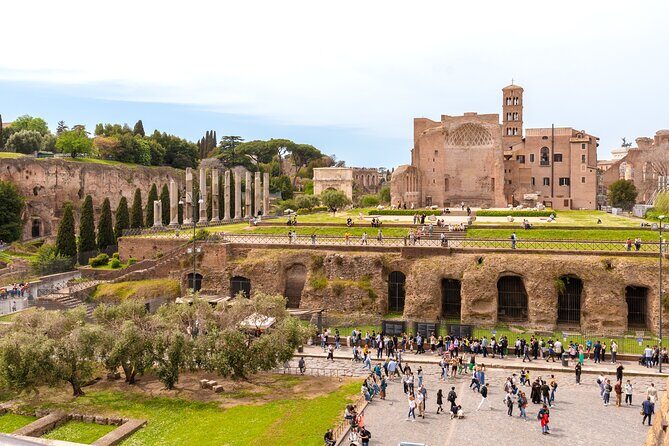 Guided Colosseum Tour with Roman Forum & Palatine Hill - What Travelers Say: Authentic Feedback