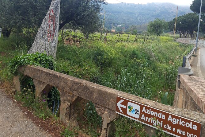 Guided Cycle Tourism Wine Tour by E-Bike on the Island of Elba Arrighi - Booking Information