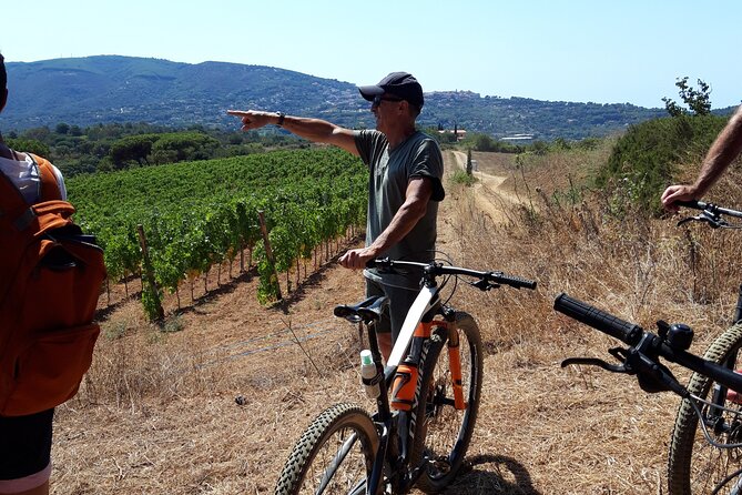 Guided Cycle Tourism Wine Tour by E-Bike on the Island of Elba Arrighi - Wine Tasting
