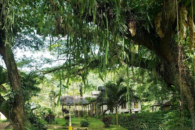 Guided Day Tour at Lopinot Plantation Estate - FAQ