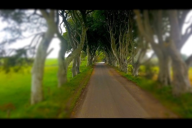 Guided Day Tour of Giants Causeway From Belfast by Comfortable Coach - Reviews
