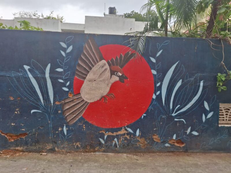 Guided Day Tour to Explore Bangalores Art and Culture - Evening Activities