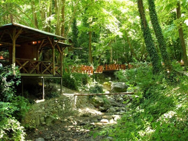 Guided Day Trip to Sapanca and Masukiye From Istanbul - Who Should Consider This Tour?