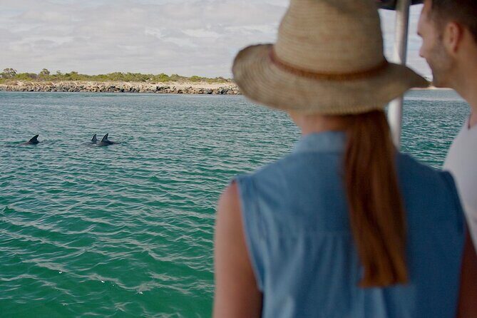 Guided Dolphin Eco-Cruise in Koombana Bay - A Closer Look at the Dolphin Eco-Cruise Experience