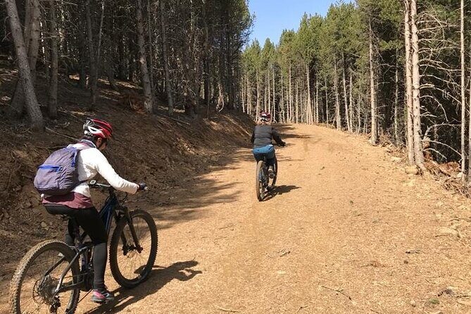 Guided E-Bike Excursion to the Artiga de Lin - The Bikes and Equipment