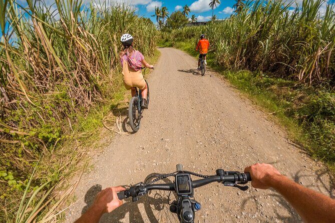Guided E-bike Tour - What the Tour Entails: A Deep Dive