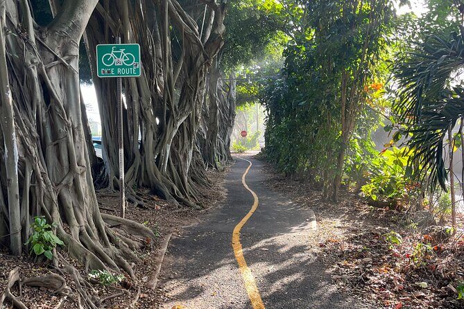 Guided E-Bike Tour in North Shore - FAQ