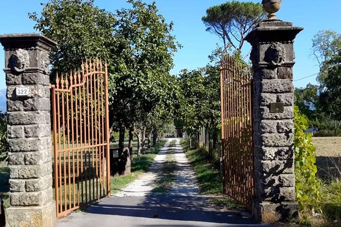 Guided E-Bike Tour With Wine Tasting From Lucca - Meeting Point Details