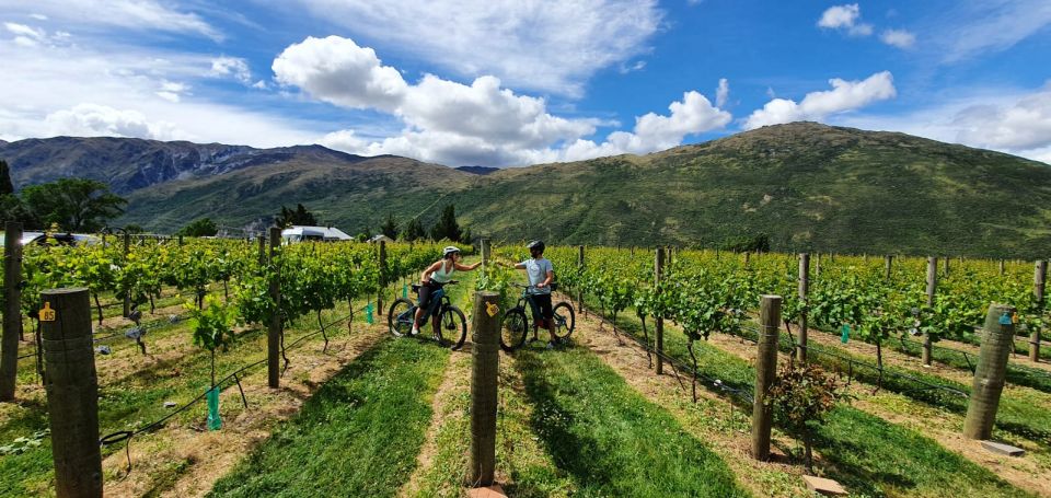 Guided E-Bike Wine Tour Ride to the Vines - Itinerary Highlights