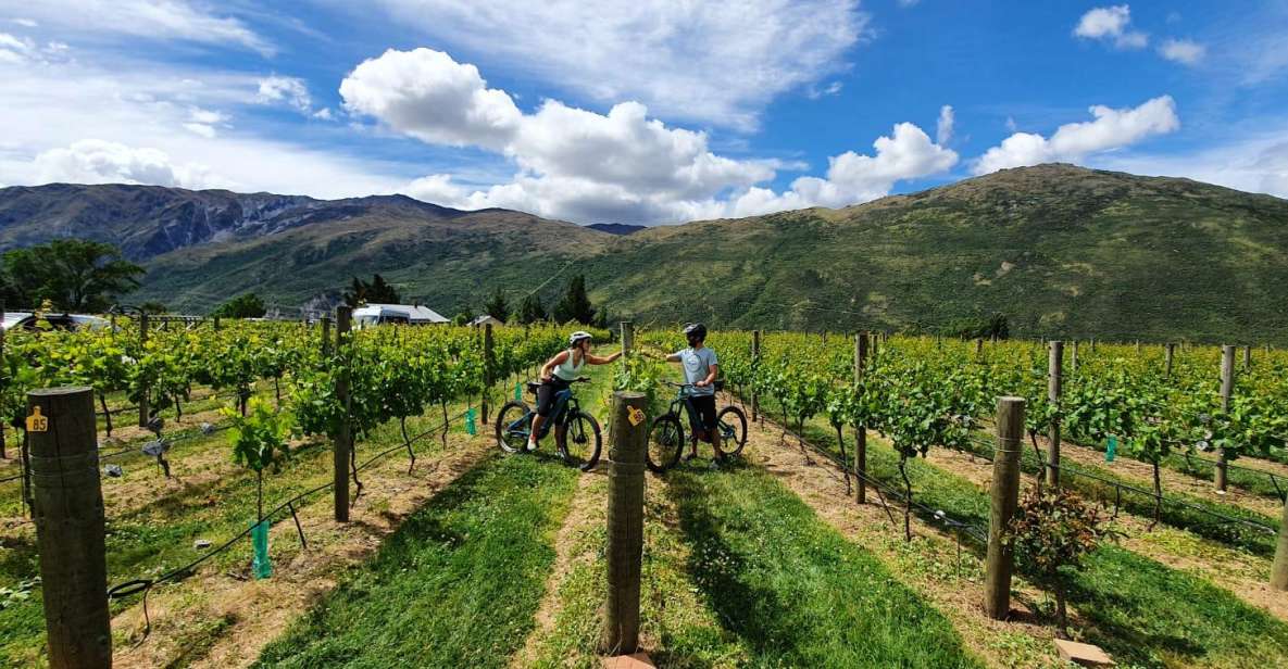 Guided E-Bike Wine Tour Ride to the Vines - Pricing and Duration