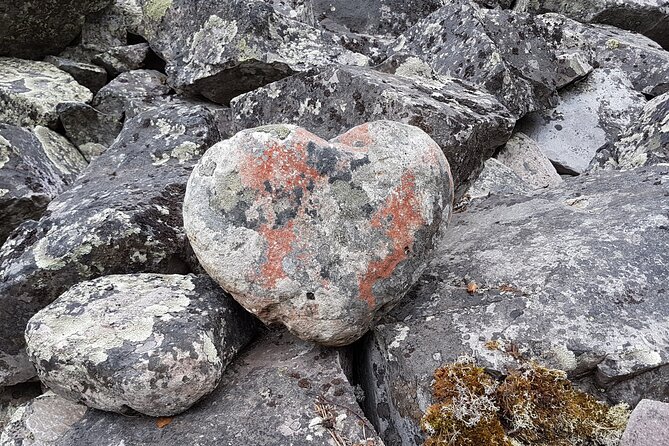 Guided Easy Hike in Finland Deepest Gorge in Pyhä-Luosto National Park - Convenience and Flexibility of the Tour