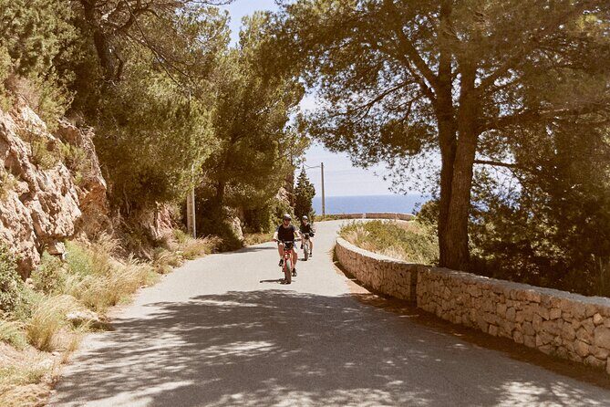 Guided Ebike Tour in Ibiza - What Reviewers Say