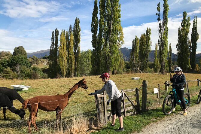 Guided eBike Wine Tour Ride to the Vines - An In-Depth Look at the Queenstown eBike Wine Tour