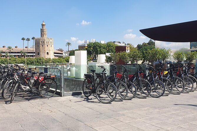 Guided Electric Bicycle Tour of Seville - Highlights of the Guided Tour
