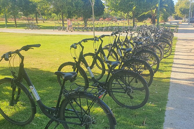 Guided Electric Bicycle Tour of Seville - Safety Precautions and Considerations