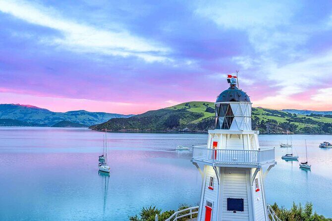 Guided Electric Mountain Bike Tour- Akaroa Explorer - Summary of the Tours Strengths and Considerations