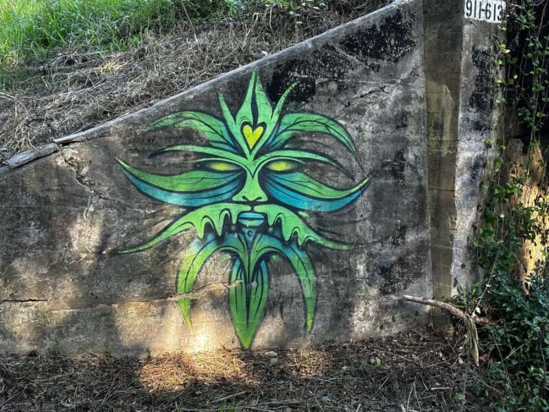 Guided Evening Glow Worm Experience - Byron Bay - An Authentic Nighttime Encounter with Nature