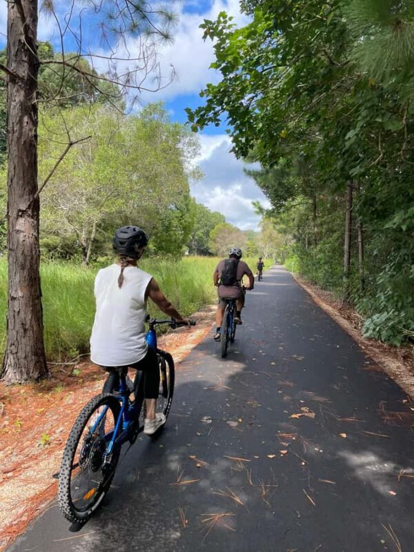 Guided Evening Glow Worm Experience - Byron Bay - Practical Details and Tips