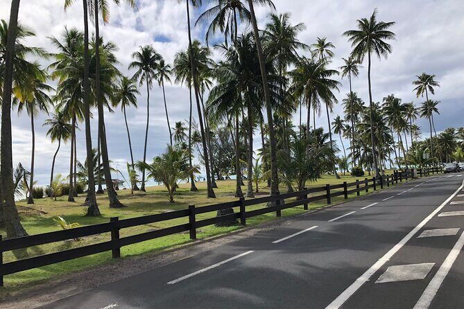 Guided Excursion in 4x4 in Moorea between Land and Sea - The Sum Up