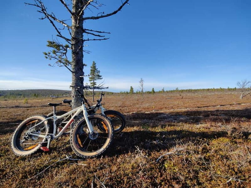 Guided Fatbike Tour in Ivalo - The Value and Practicalities