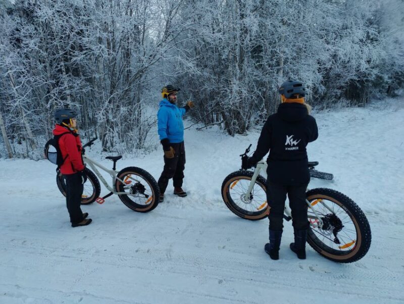 Guided Fatbike Tour in Ivalo - Exploring Ivalo on a Fatbike: What to Expect