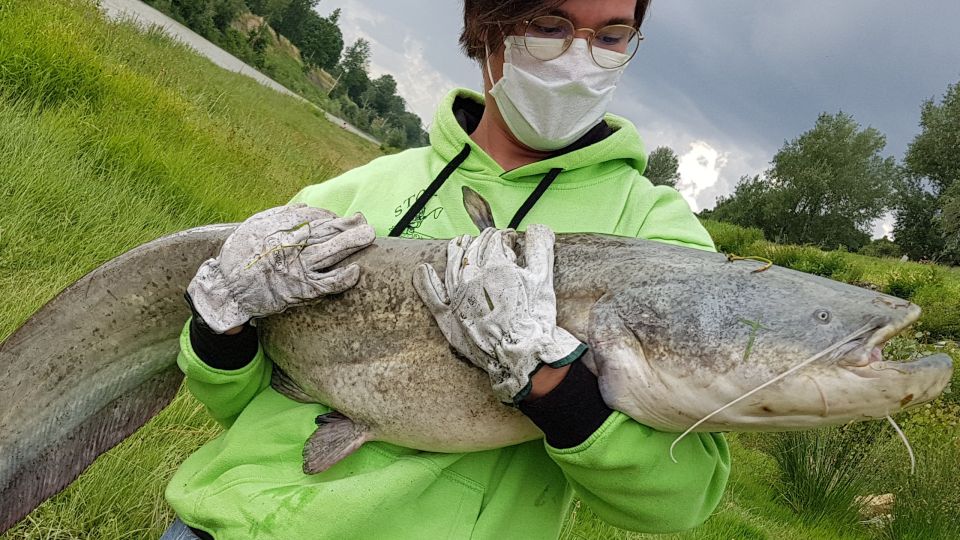 Guided Fishing Session in Florence - Key Points