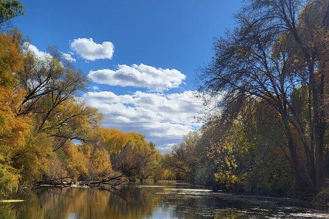 Guided Fly Fishing in Cottonwood AZ. 20 min from Sedona - Analyzing the Value