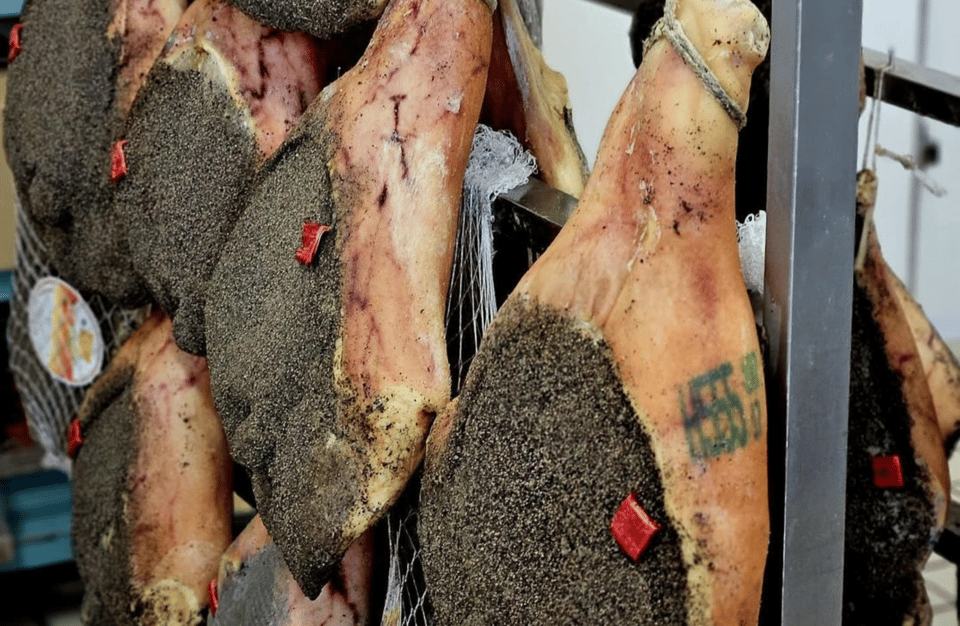 Guided Food Tour With Wine Tastings in Genoa - Additional Information
