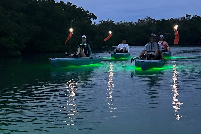 Guided Glow LED Kayak Sunset Activity in Bonita Springs - Included Amenities