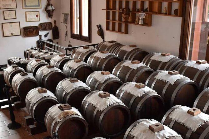 Guided group tour TastyBus: Parmesan Cheese and Parma Ham - Key Points