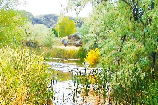 Guided Half-Day Tour to Dierkes Lake & Shoshone Falls - Whats Included in the Tour