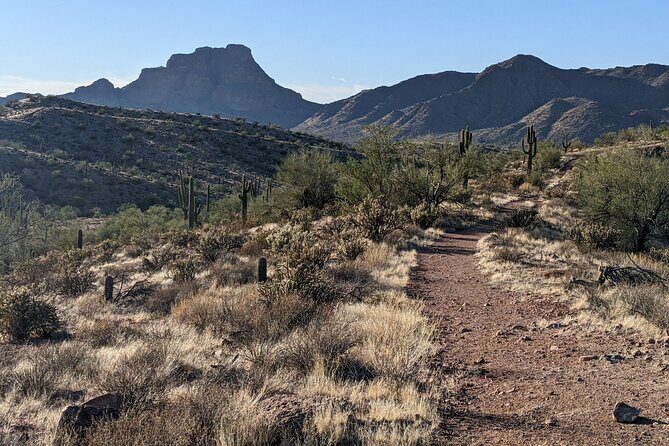 Guided Hike: Desert Copper Mile - FAQ