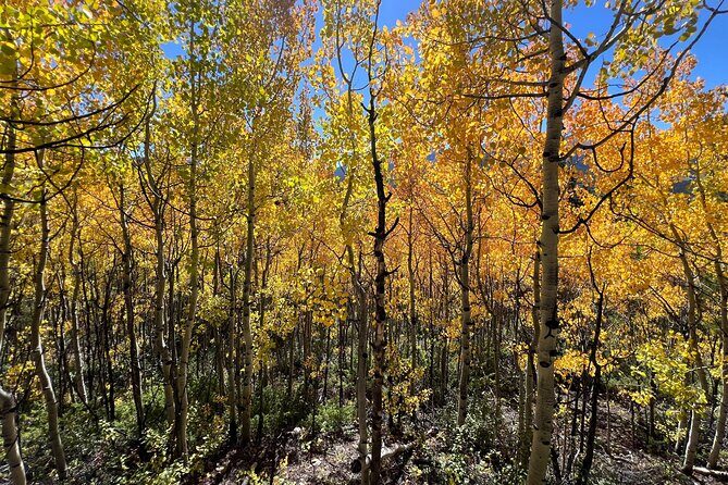 Guided Hike in Rocky Mountain National Park - FAQ
