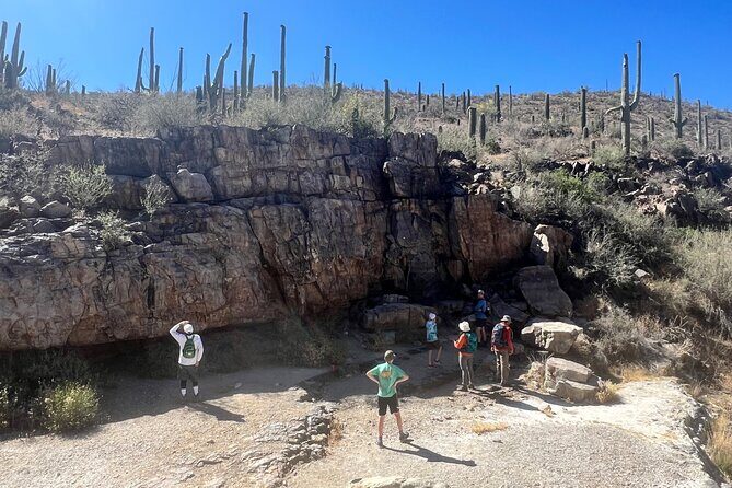 Guided Hike in the Sonoran Desert - Key Points
