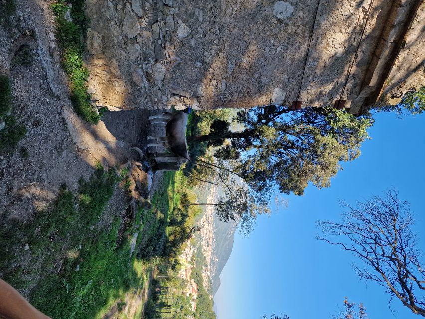 Guided Hike to Mount San Liberatore - Amalfi Coast. - Frequently Asked Questions