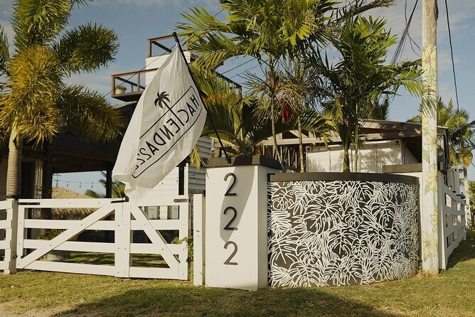 Guided Hike with Miniature Donkeys to a Secluded Beach - An In-Depth Look at the Experience