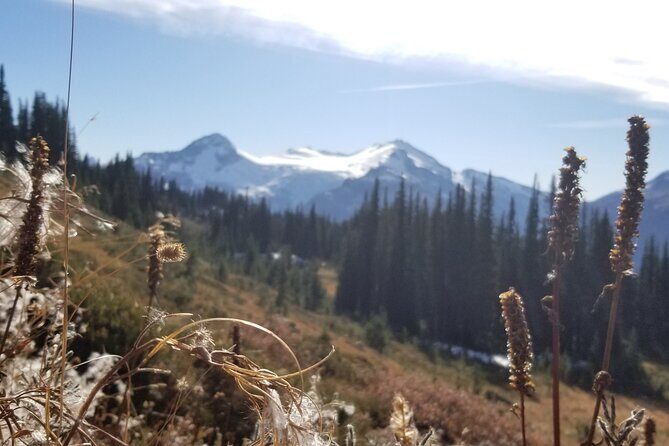 Guided Hiking and Camping Tour - FAQs