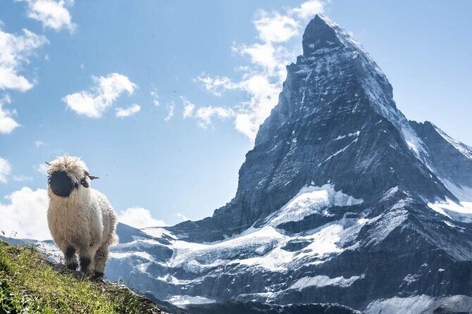 Guided Hiking Half Day in Zermatt - Practical Details: What You Need to Know