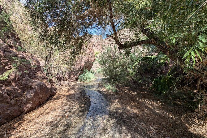 Guided Hiking Tour in AZ Ringbolt Hot Springs View Colorado River - Key Points