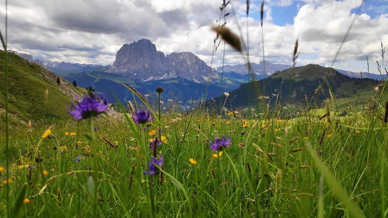 Guided hiking tour in South Tyrol and the Dolomites with IML hiking guide - The Real Value of this Discovery